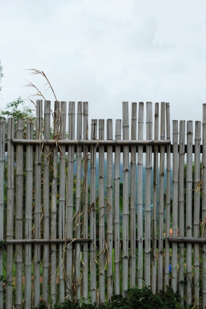 Bamboo fence - the sky.の写真素材