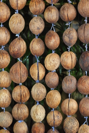 Coconut shell の写真素材