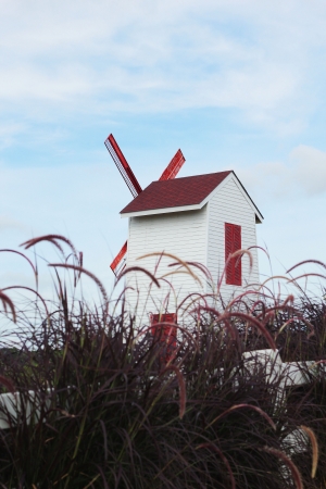 Beautiful wind mill landscapeの写真素材