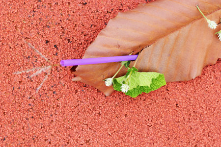  leaves on red background.