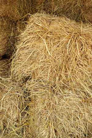 Close up of square straw.