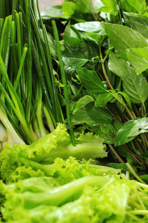 Fresh green leaves.の写真素材