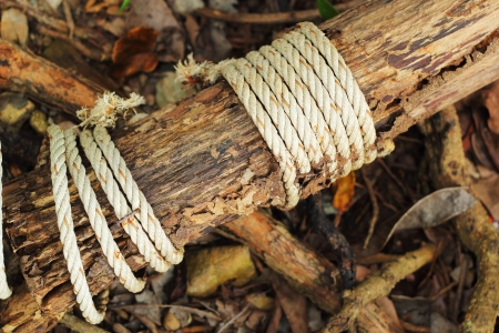 Secured timber old rope.の写真素材