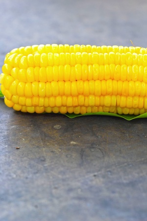 Sweet corn.の写真素材