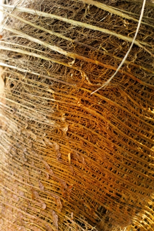 Old wood background texture - vintageの写真素材