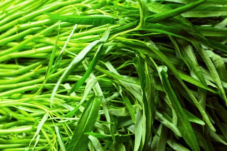 Fresh vegetables - green morning glory leaves の写真素材
