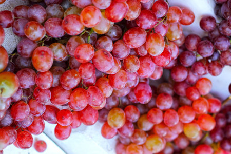 Fruit grape in nature with green leaves - background.の写真素材