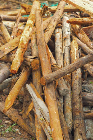 Pile of pine wood background textureの写真素材