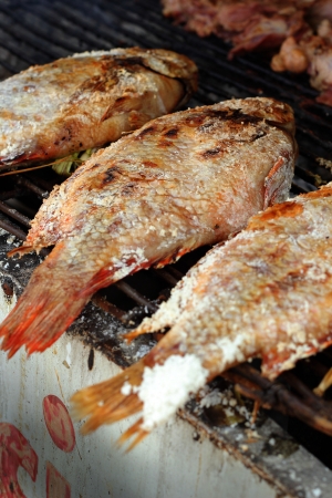 Salt fish - on the stove.の写真素材