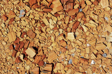 Brick fragments on the surface of the ground.
