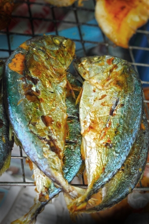 Mackerel grilled on the stoveの写真素材