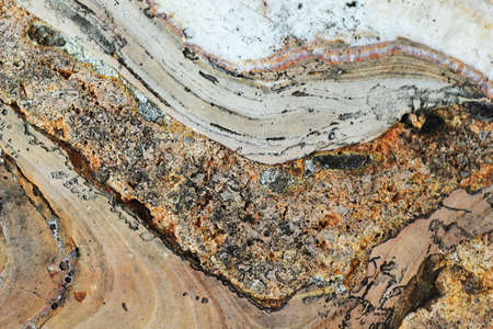 Marble brown and white - texture backgroundの写真素材