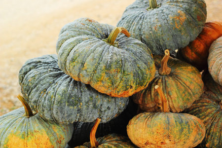 Fresh green pumpkin in the market