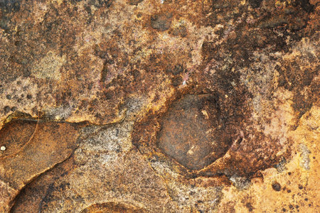 Cement floor background texture