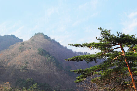 beautiful landscape at Seoraksan Korea.の写真素材