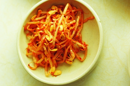 Kimchi cabbage chili radish - korean foodの写真素材