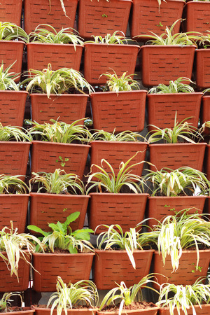 Brown tree pots stacked  set  a highの写真素材