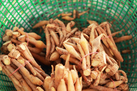 Fingerroot herb in asia - in market