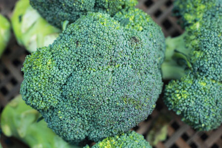 green broccoli in the marketの写真素材