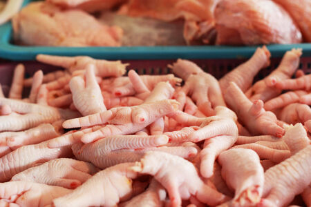 Fresh chicken foot  in the marketsの写真素材