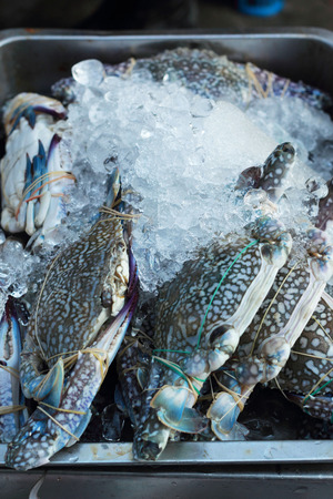 Fresh crab in the marketの写真素材