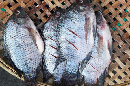 Fresh fish  in the market.