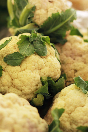 close-up cauliflower in vegetable gardenの写真素材