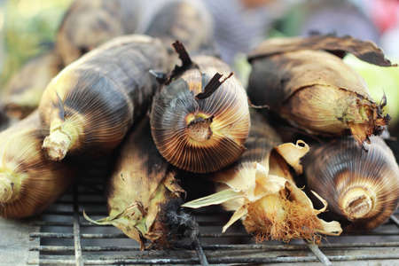 Roasted barbecue corn - BBQ cornの写真素材