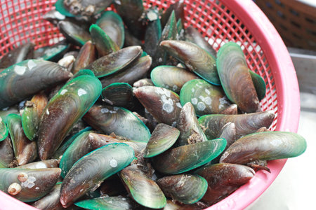 fresh shellfish in the market
