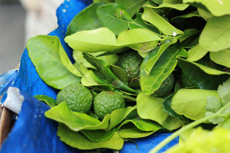 leaves bergamot in the marketの写真素材
