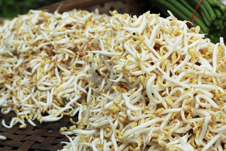 bean sprouts in the marketの写真素材