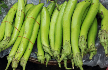 Green long eggplants in the market の写真素材