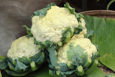 close-up cauliflower in vegetable gardenの写真素材