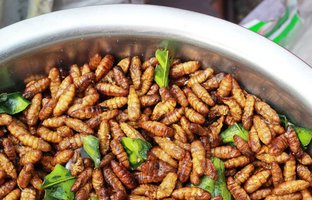 fried silk worms in the marketの写真素材