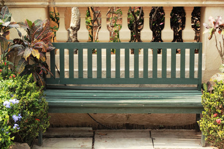 Bench in the park with nature