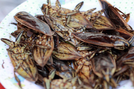 close up of fried insect