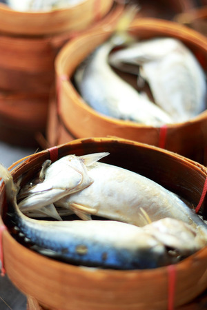 Mackerel fish in the marketの写真素材