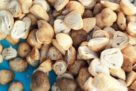 fresh mushrooms in the marketの写真素材