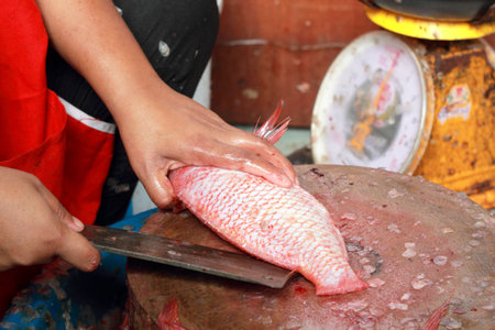 Fresh fish in the market.