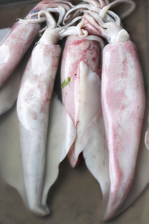 Fresh squid in the marketの写真素材