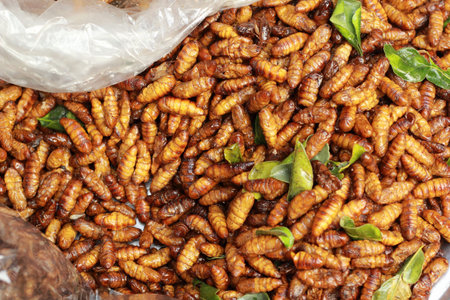 fried silk worms in the market