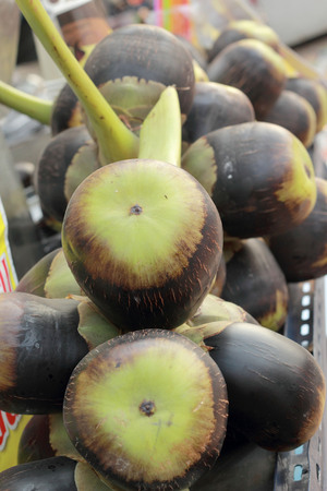 Asian palmyra palm -sugar palm in the marketの写真素材