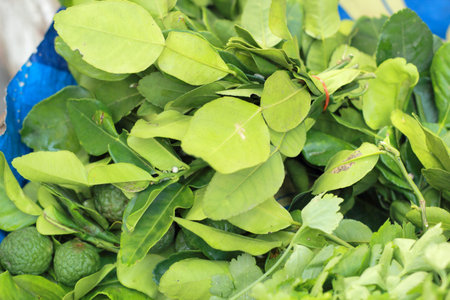leaves bergamot in the market
