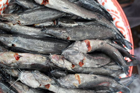 Fresh fish in the market.