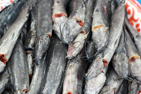 Fresh fish in the market.の写真素材
