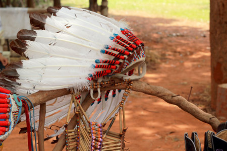native american indian chief headdress