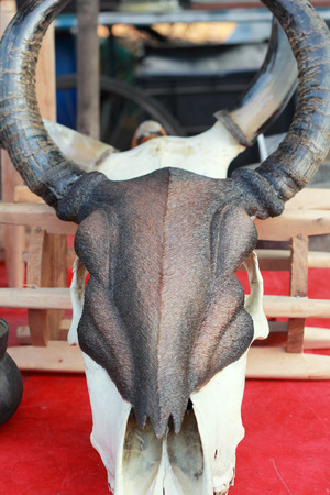 Black and white buffalo statue - vintage style.の写真素材