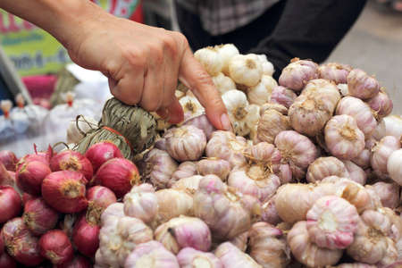 Shallot - garlic in the marketの写真素材