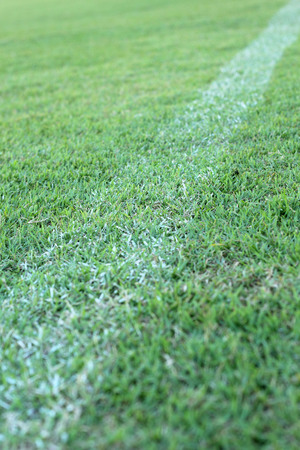 football field line on the green grass.の写真素材