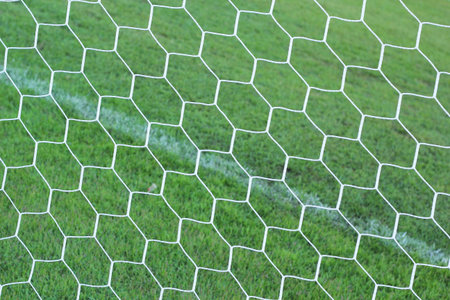 Goal football - soccer nets with green grass